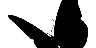 Животные 3615