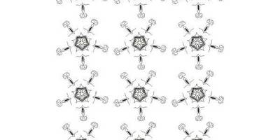 Бесшовный 172