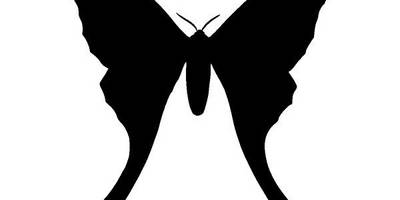 Животные 3238