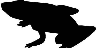 Животные 1466