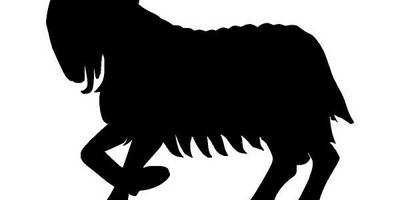 Животные 3684