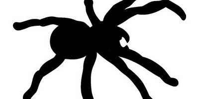 Животные 2955