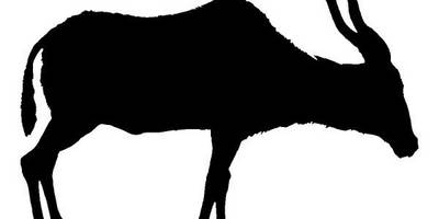 Животные 3805