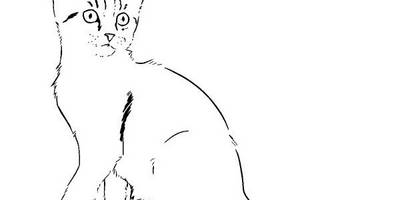 Животные 3265