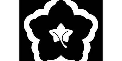 Японский узор 1552