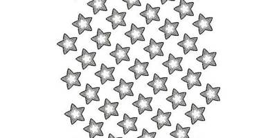 Бесшовный 10