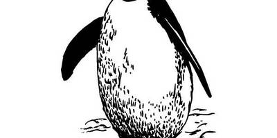 Животные 587