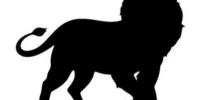 Животные 375