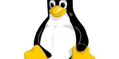 Linux Penguin logo
