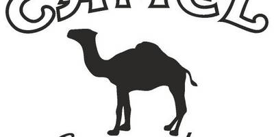 Camel logo