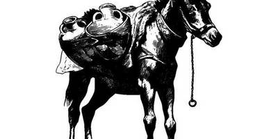 Животные 1218