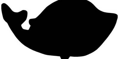 Животные 3723