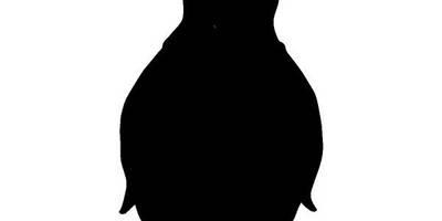 Животные 1192