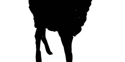 Животные 370