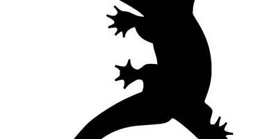 Животные 3652