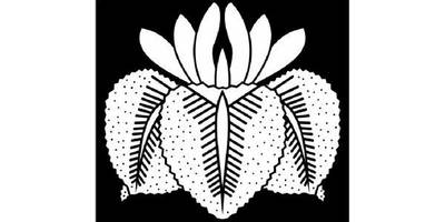 Японский узор 3176