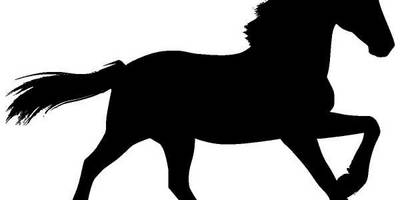 Животные 1205