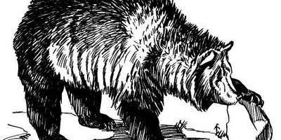 Животные 499