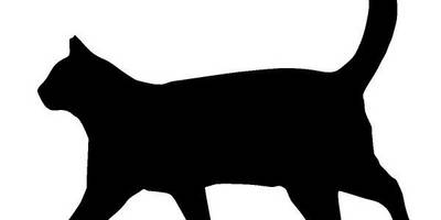 Животные 4221