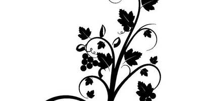 Природа виноград 84