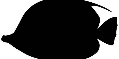 Животные 1424