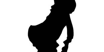 Животные 337