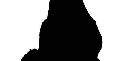 Животные 3295