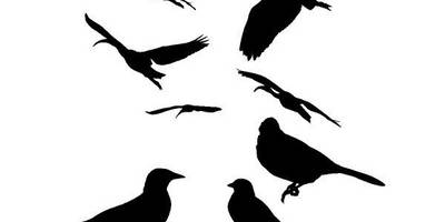 Животные 4154