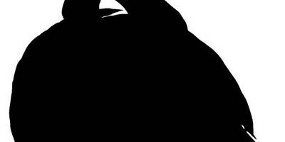 Животные 4152