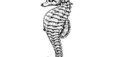 Животные 474