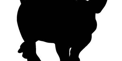 Животные 3545