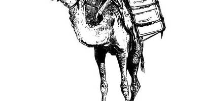 Животные 2692