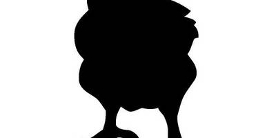 Животные 3607