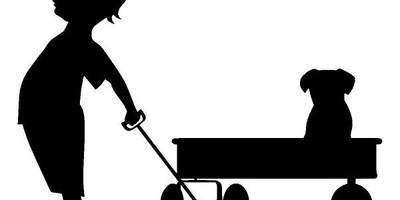 Животные 2811