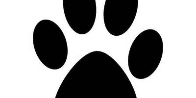 Животные 1106