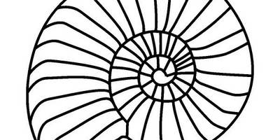 Животные 1502