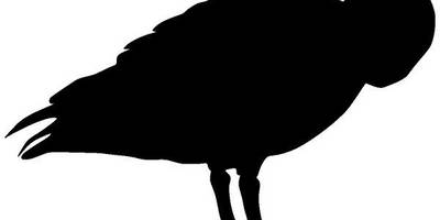 Животные 812