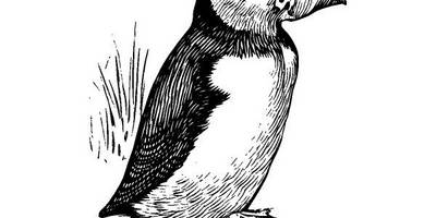 Животные 1093