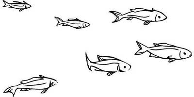 Животные 3579