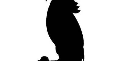 Животные 3637