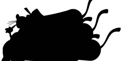 Животные 2808