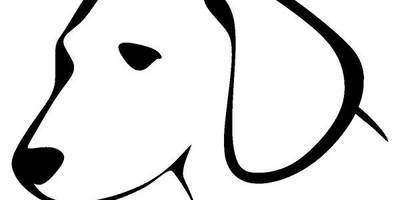 Животные 3699