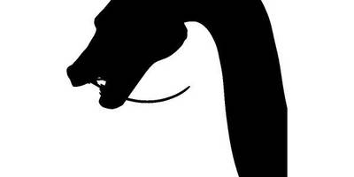 Животные 3282