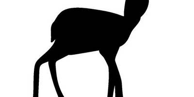 Животные 4133