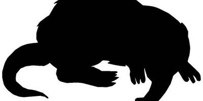 Животные 391