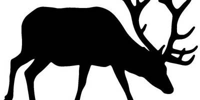 Животные 1216