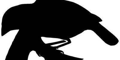 Животные 952