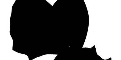 Животные 2071