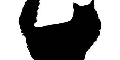 Животные 3575