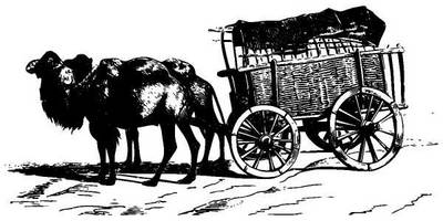 Животные 1040